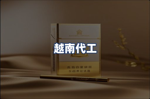 越南代工